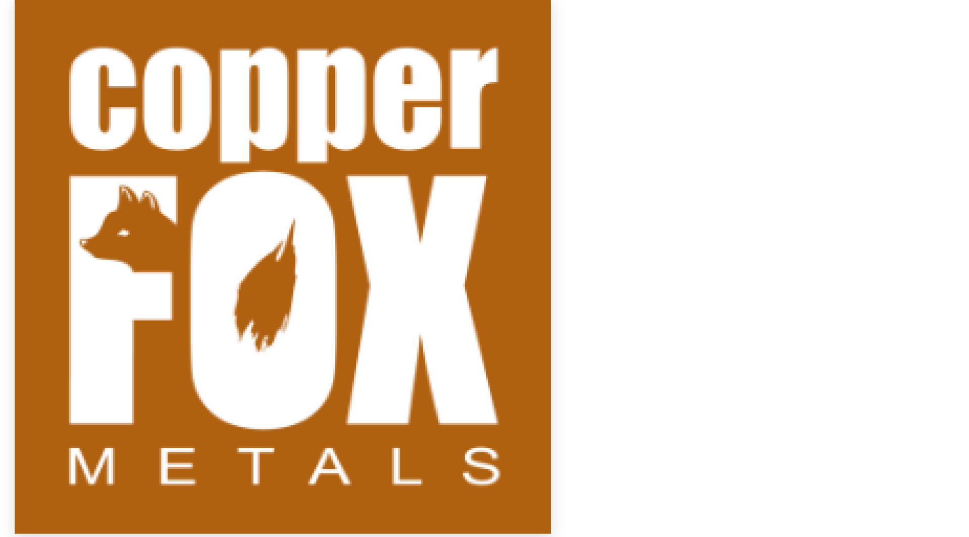 Copper Fox Metals Inc.